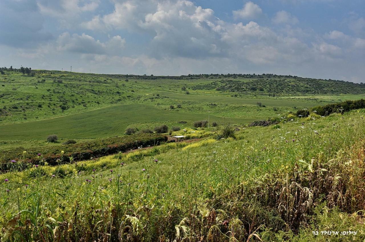 Mul Kinneret Livnim Bagian luar foto