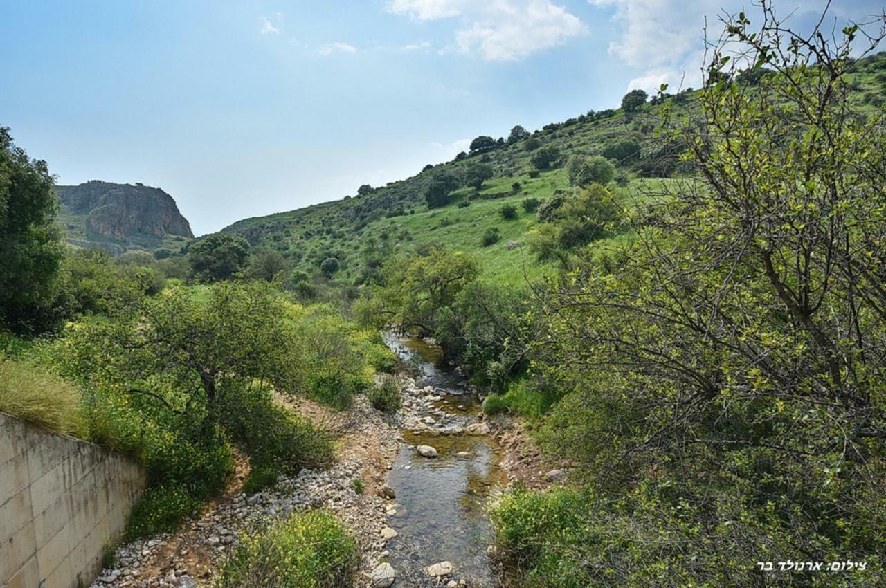 Mul Kinneret Livnim Bagian luar foto